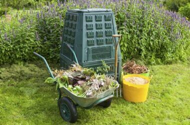 can you compost tortoise poop?